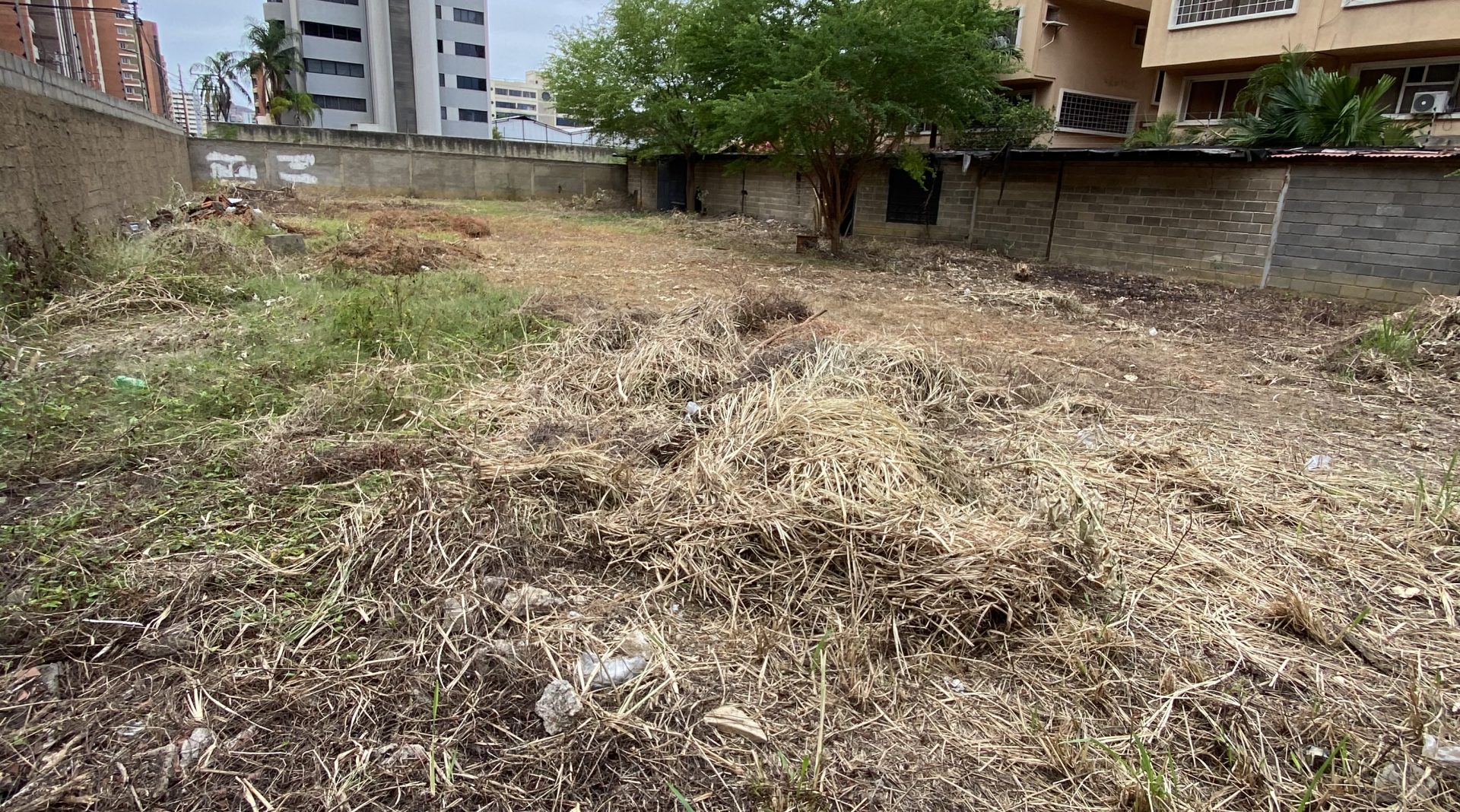 PARCELA, Calle Arismendi, Parcela o Terreno en Venta, Lecheria