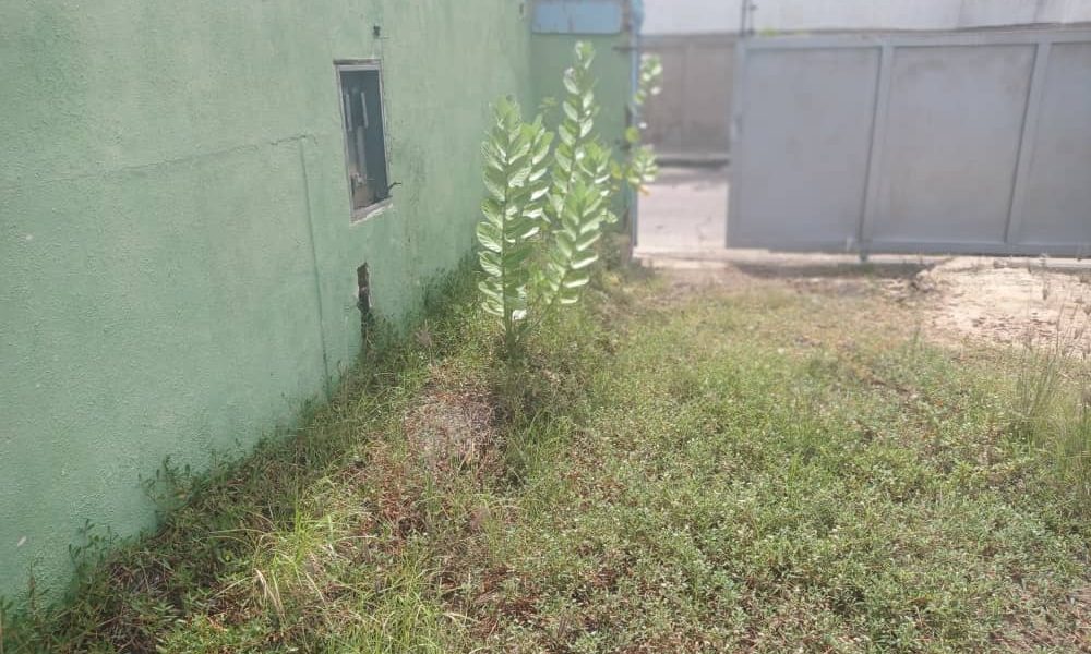 Calle Arismendi, Parcela de terreno en venta, Lecheria